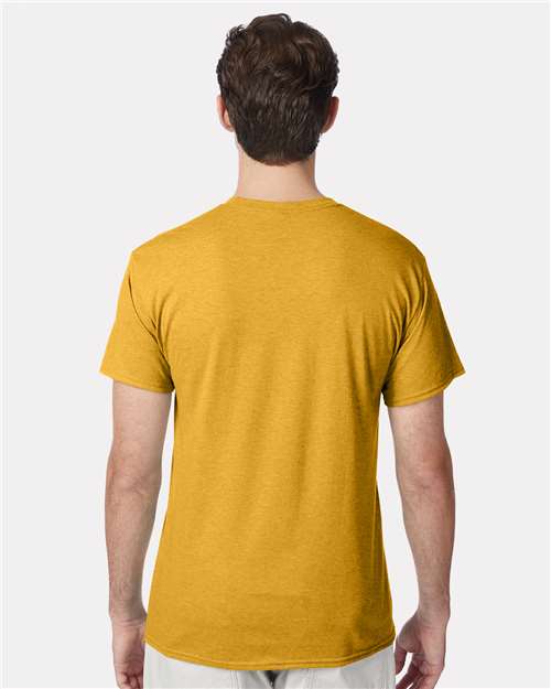 Hanes 42TB Gold Heather Back