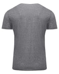 Reishore 102A — Unisex Triblend T-Shirt — Grey Triblend